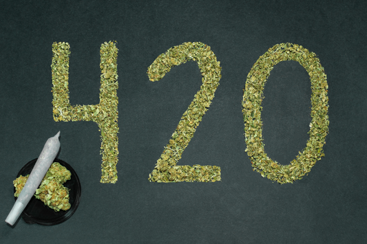 L'histoire du 420 : Comment un code est devenu un symbole de la culture cannabis