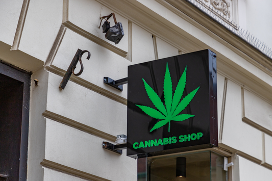 Comment ouvrir une boutique de CBD en 2024 ? Le Guide détaillé