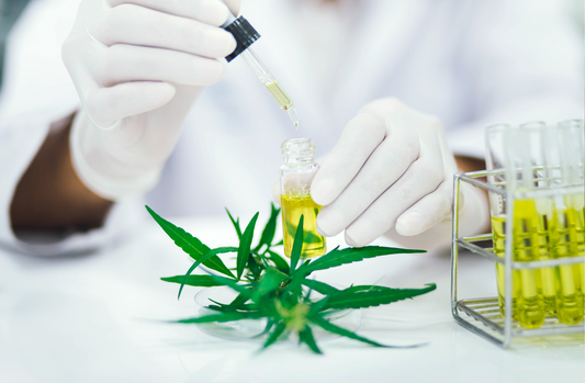 Néo-Cannabinoïdes : THC-P et H4CBD c'est quoi ?