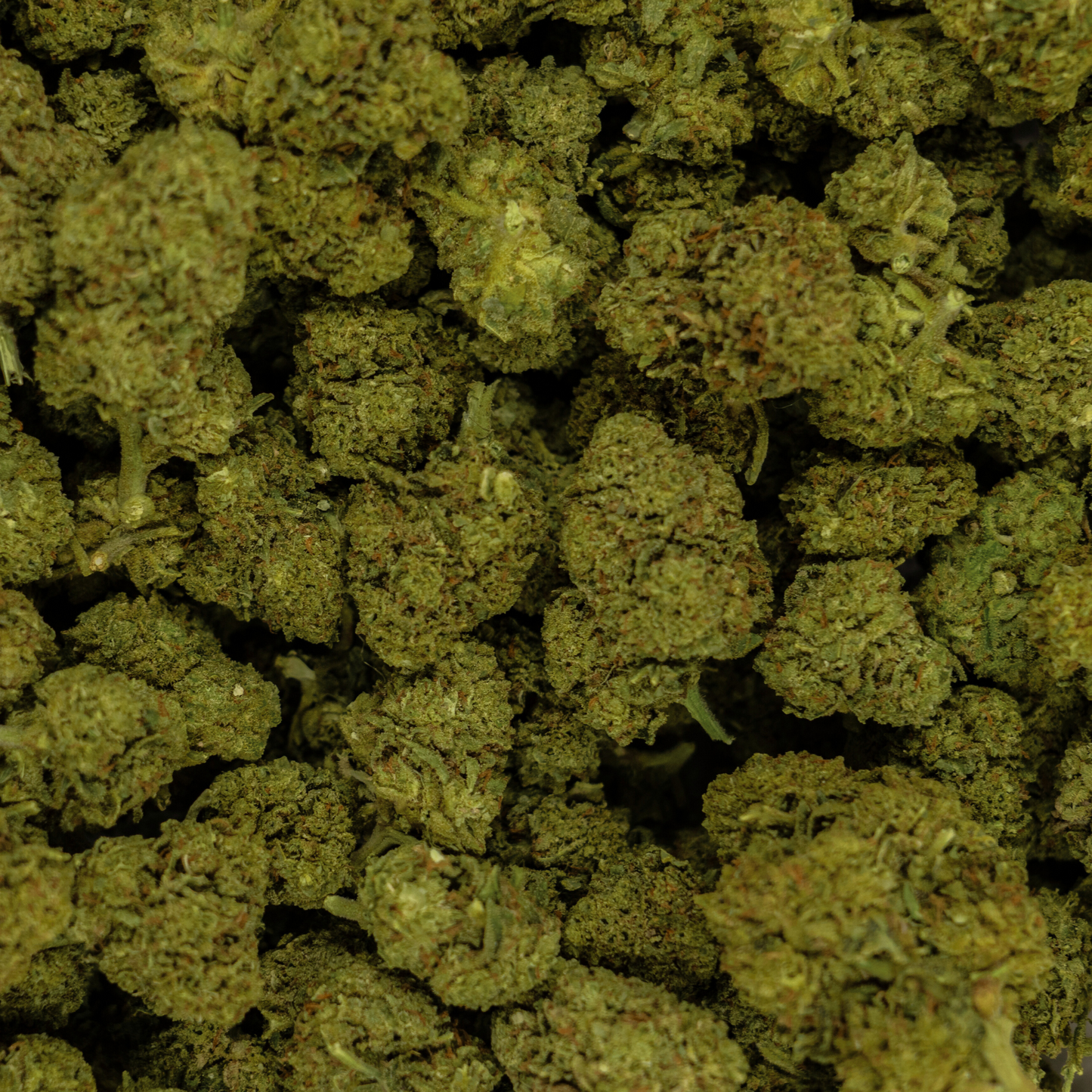 CANNATONIC - CRYO - BIG BUD