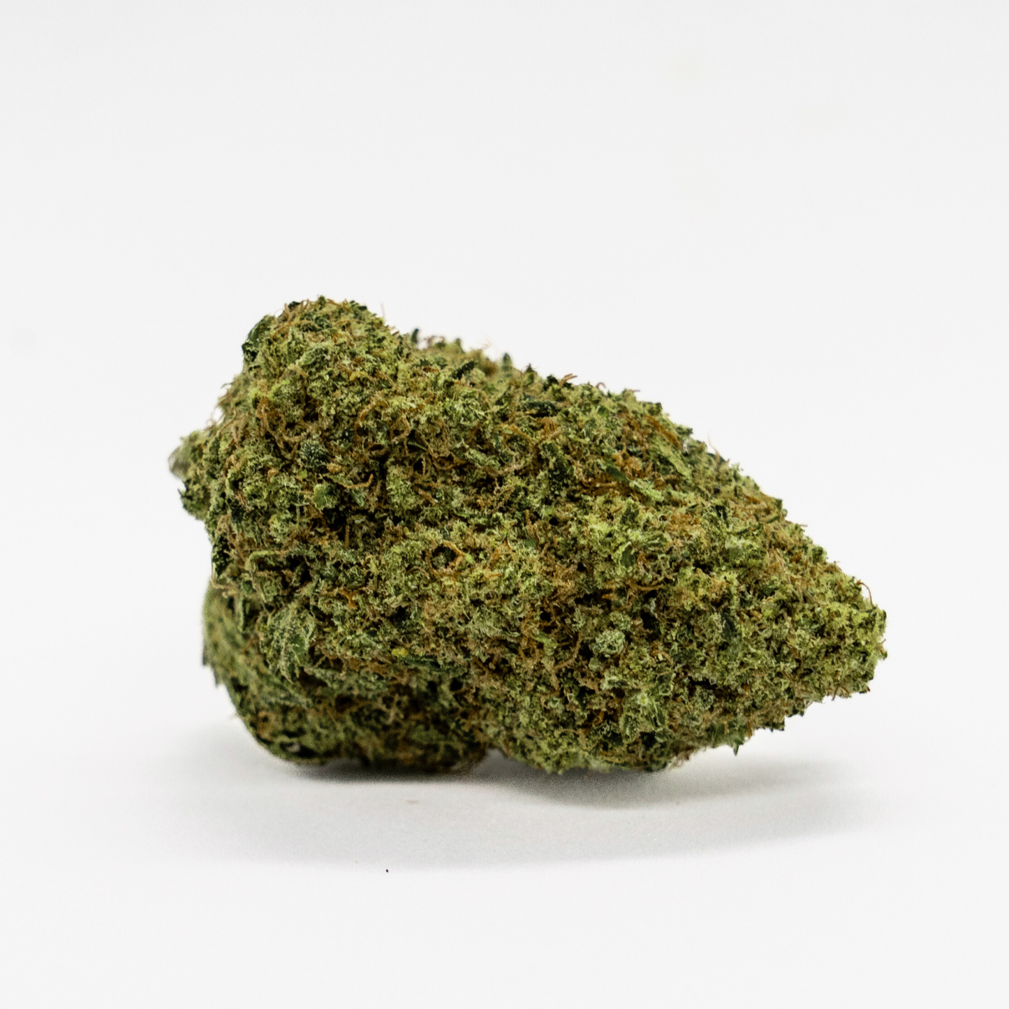 M.A.C #1 - CALI HYDROPONIQUE