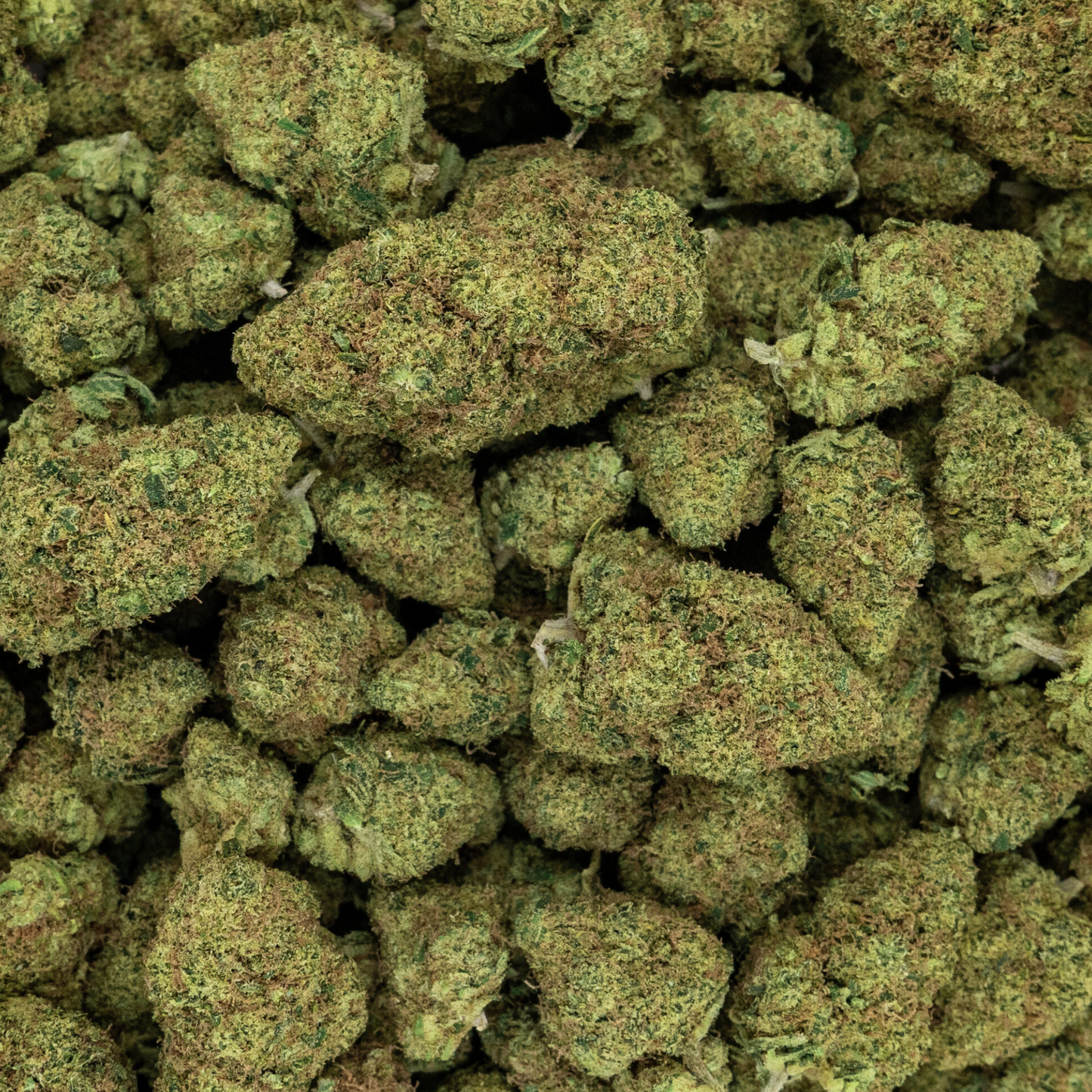 M.A.C #1 - CALI HYDROPONIQUE