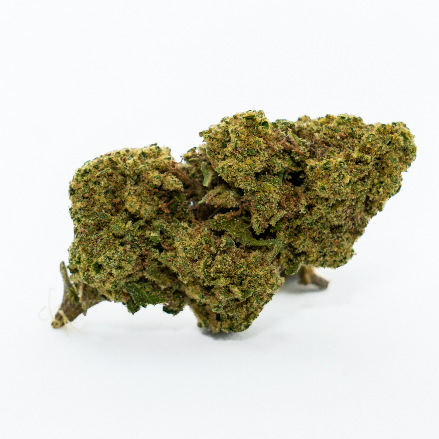 PINK PANTHER - POT INDOOR - FLEURS CBD