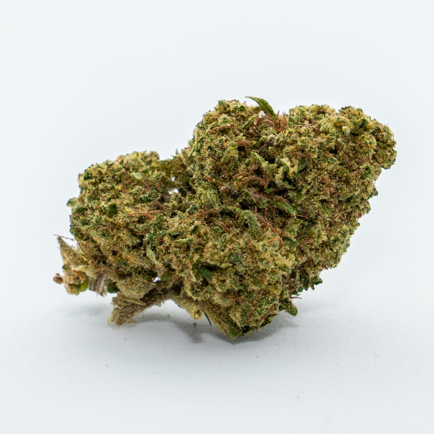 LEMON HAZE 2.0 - GLASSHOUSE - MEDIUM BUD