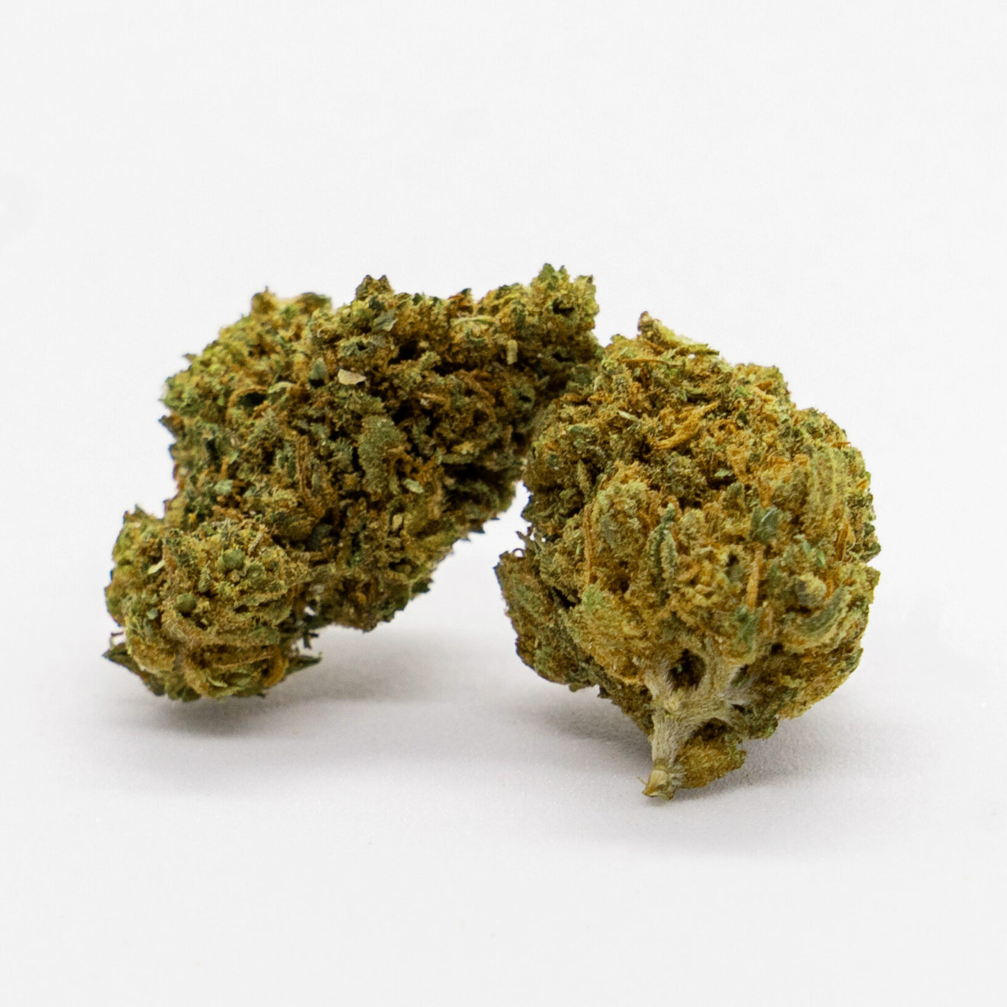 PINEAPPLE EXPRESS - POT GREENHOUSE - FLEURS CBD