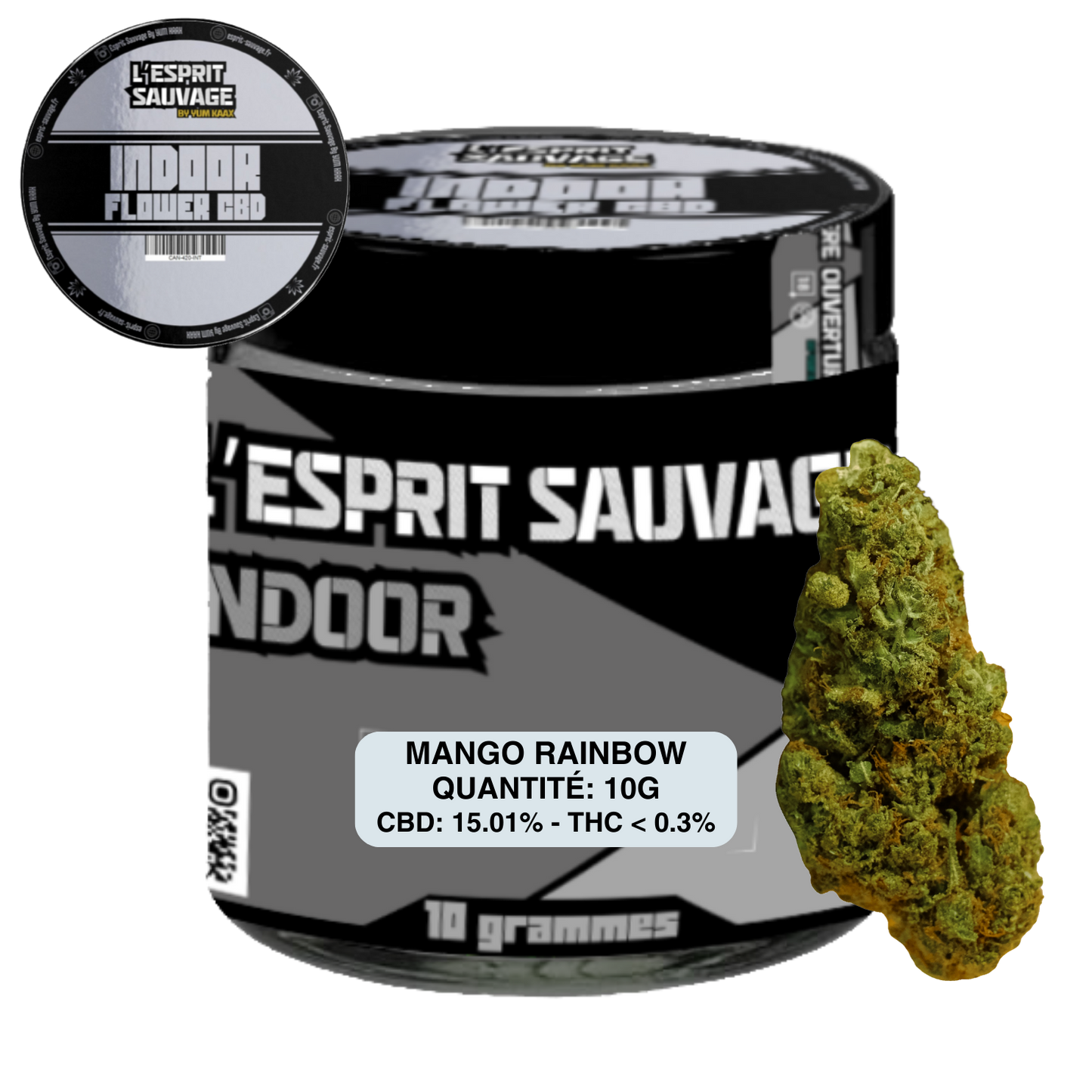 MANGO RAINBOW - POT INDOOR - FLEURS CBD
