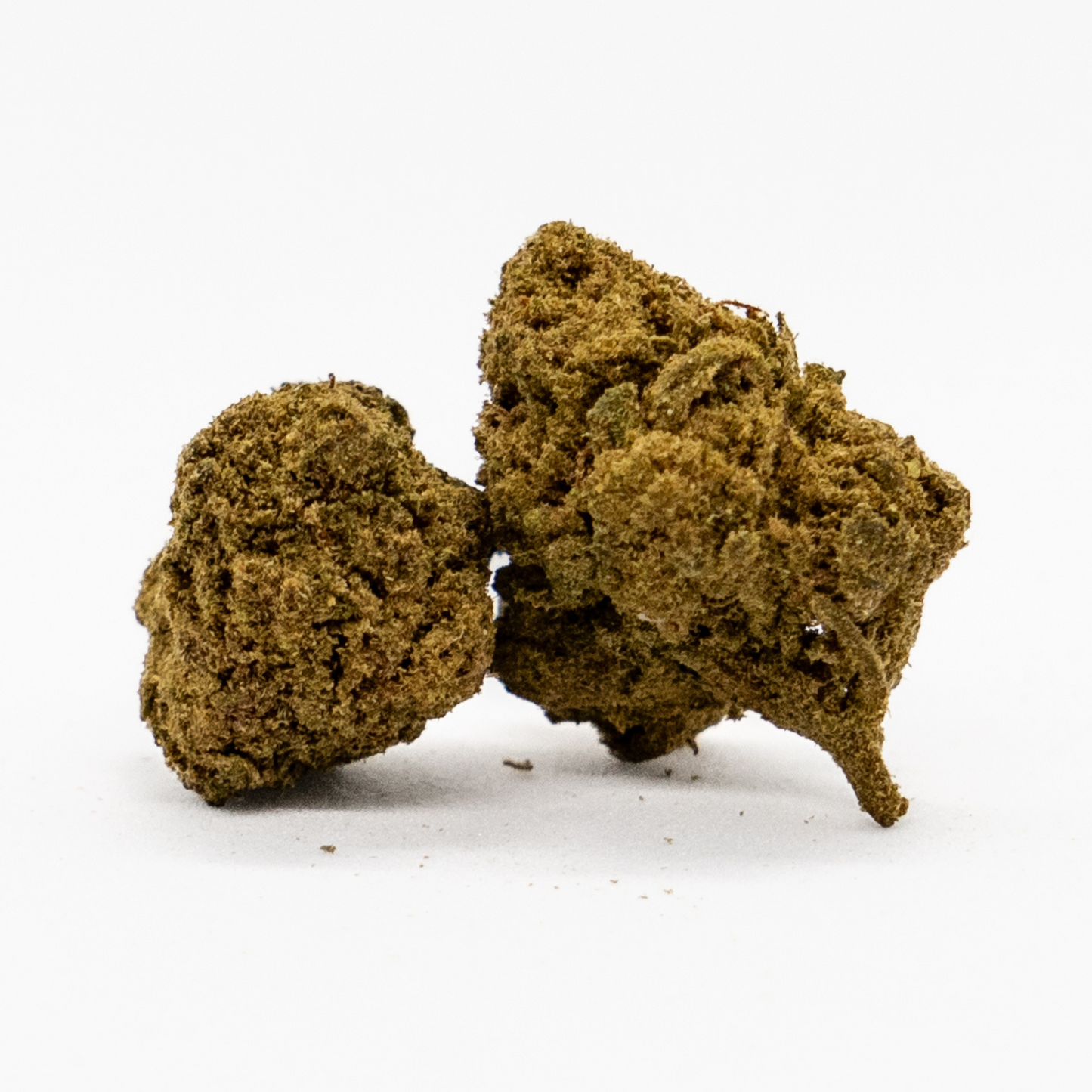 GORILLA GHOST - POT GREENHOUSE - 10-OH-HHC