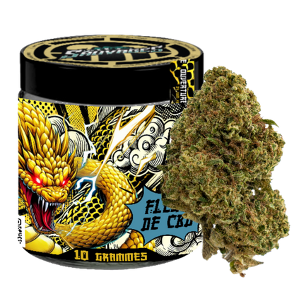 PACK PREMIUM - LES SAUVAGES - FLOWER EDITION 1