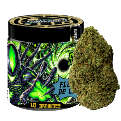 PACK PREMIUM - LES SAUVAGES - FLOWER EDITION 1