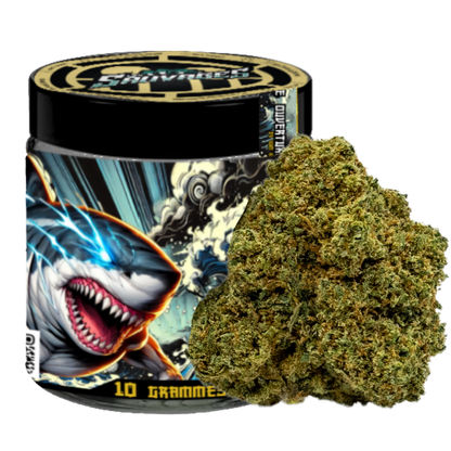 PACK PREMIUM - LES SAUVAGES - FLOWER EDITION 1