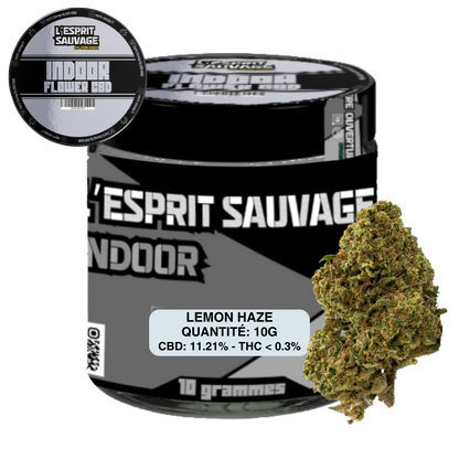 LEMON HAZE - POT INDOOR - FLEURS CBD