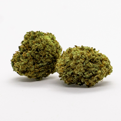 BANANA KUSH - GREENHOUSE - SMALL BUD