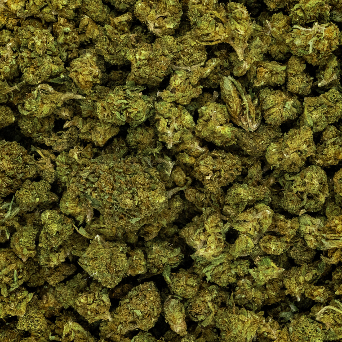 GRAPE APE - GREENHOUSE - SMALL BUD