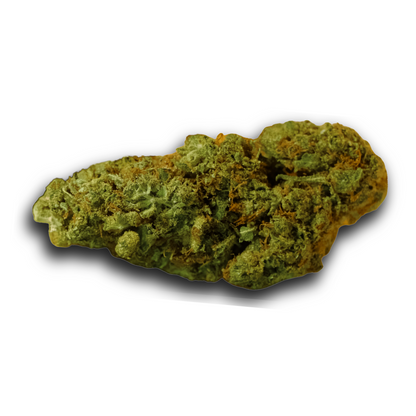 MANGO RAINBOW - POT INDOOR - FLEURS CBD