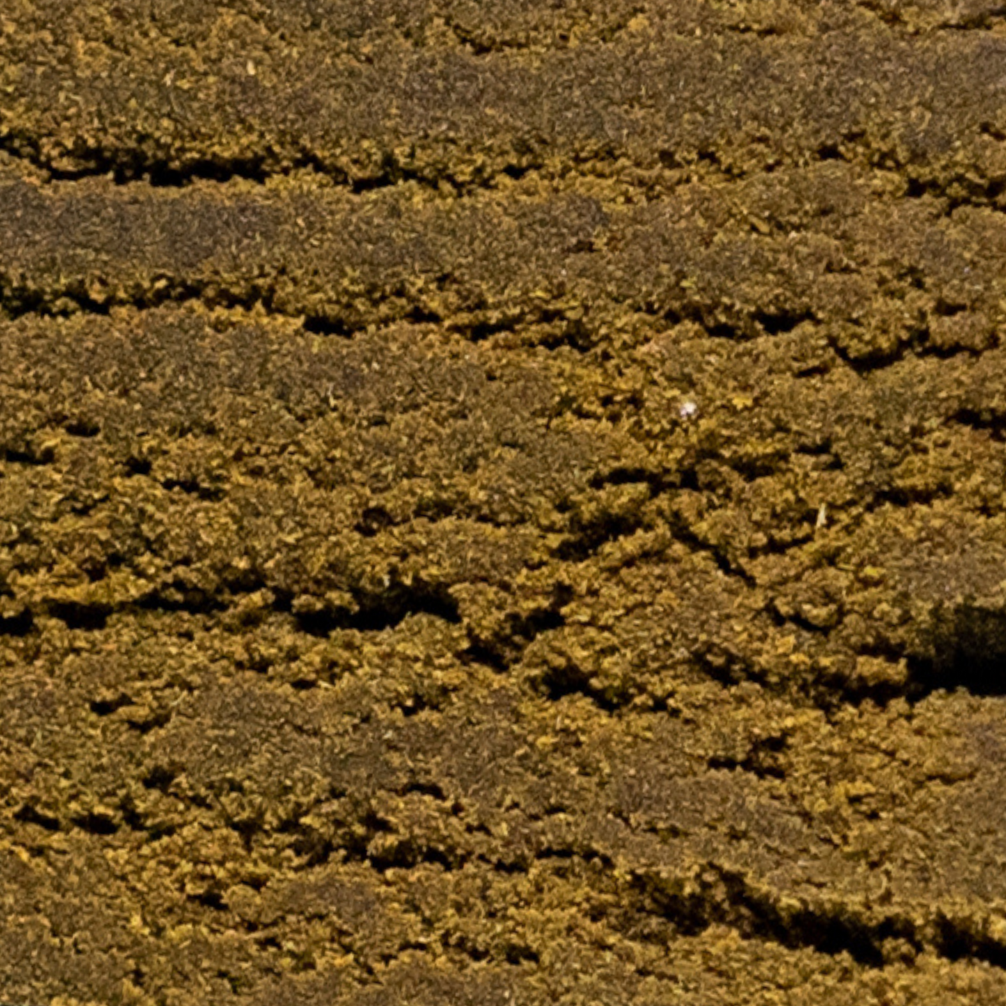 MOROCCAN - VRAC HASH - HASH CBD