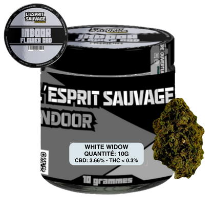 WHITE WIDOW - POT INDOOR - FLEURS CBD