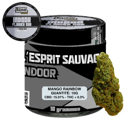 MANGO RAINBOW - POT INDOOR - FLEURS CBD