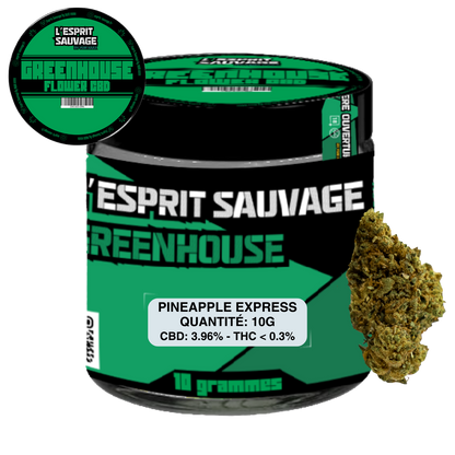 PINEAPPLE EXPRESS - POT GREENHOUSE - FLEURS CBD