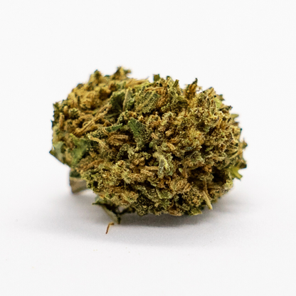 HARLEQUIN - GREENHOUSE - SMALL BUD